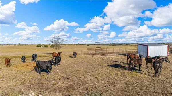 $1,950,000 | 318 Cr 3355 Valley Mills, Valley Mills, TX 76689
