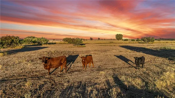 $1,950,000 | 318 Cr 3355 Valley Mills, Valley Mills, TX 76689