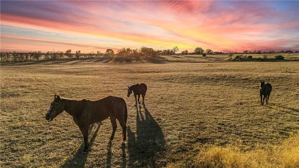 $1,950,000 | 318 Cr 3355 Valley Mills, Valley Mills, TX 76689
