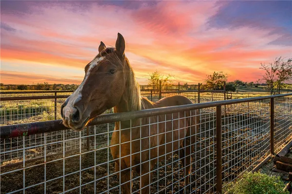 $1,950,000 | 318 Cr 3355 Valley Mills, Valley Mills, TX 76689