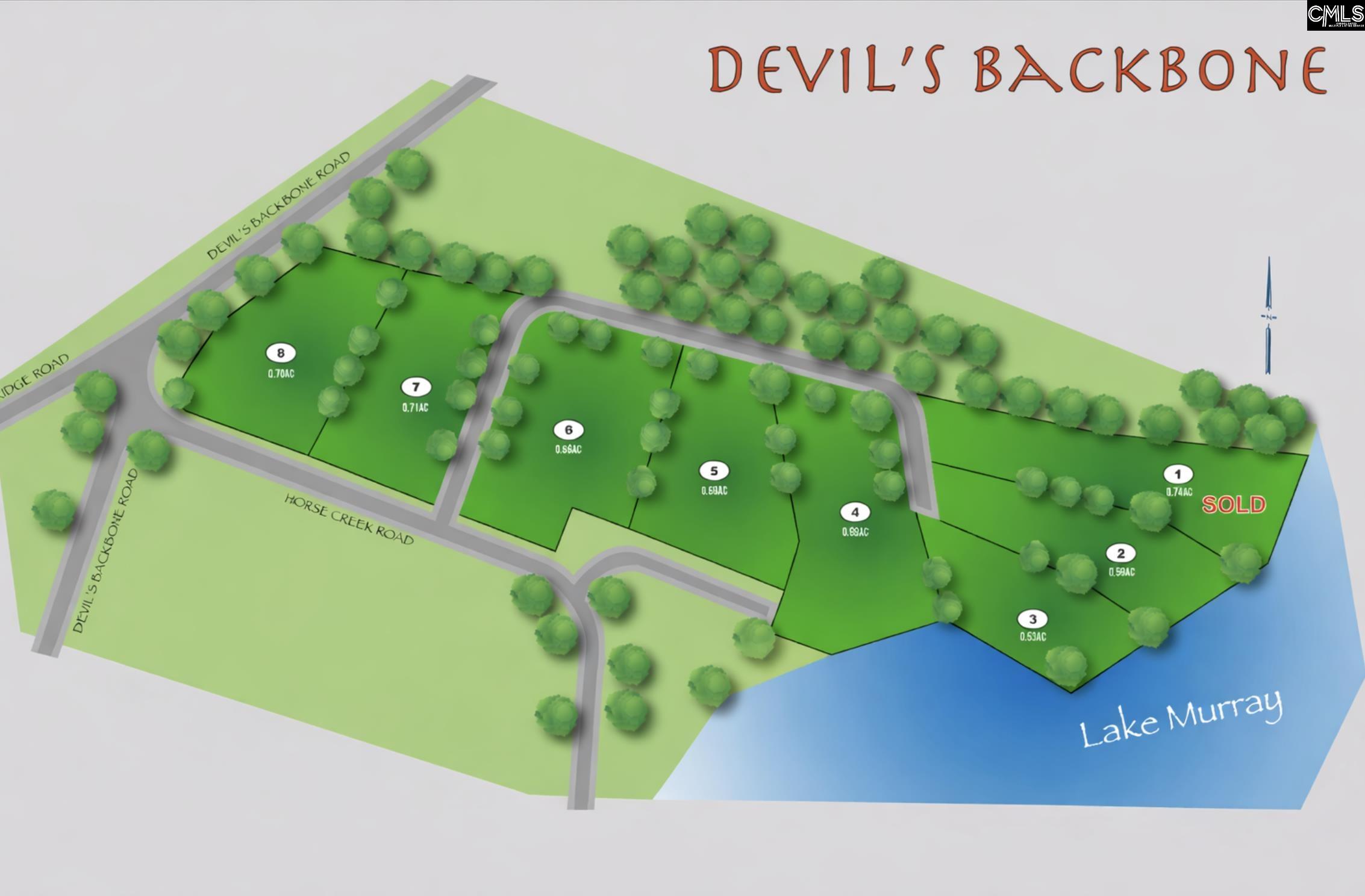 Tbd Devils Backbone Road Leesville, SC 29070 - Photo 1 of 1
