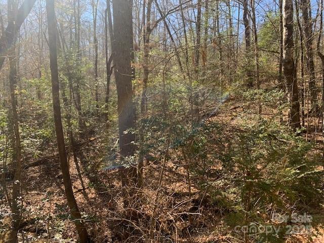 4 Justus View Road, Unit TRACT 4 Hendersonville, NC 28739 - Photo 1 of 6 Gallery Image 1