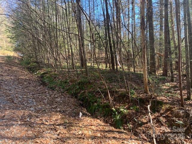 4 Justus View Road, Unit TRACT 4 Hendersonville, NC 28739 - Photo 5 of 6 Gallery Image 5