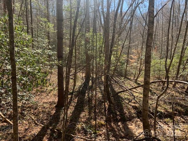 4 Justus View Road, Unit TRACT 4 Hendersonville, NC 28739 - Photo 6 of 6 Gallery Image 6