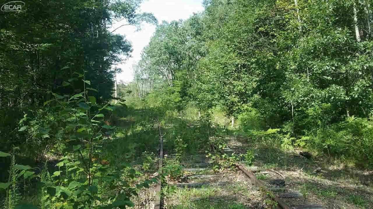 0 South National City Road Turner, MI 48765 - Photo 9 of 11