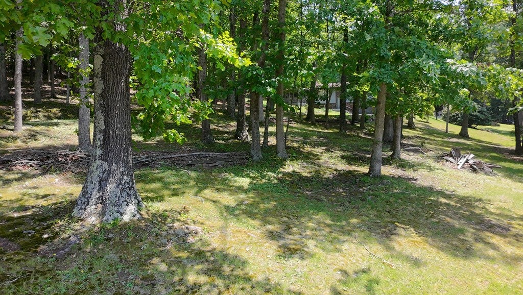 1753 Scratch Gravel Road Marion, VA 24354 - Photo 58 of 58 Gallery Image 58