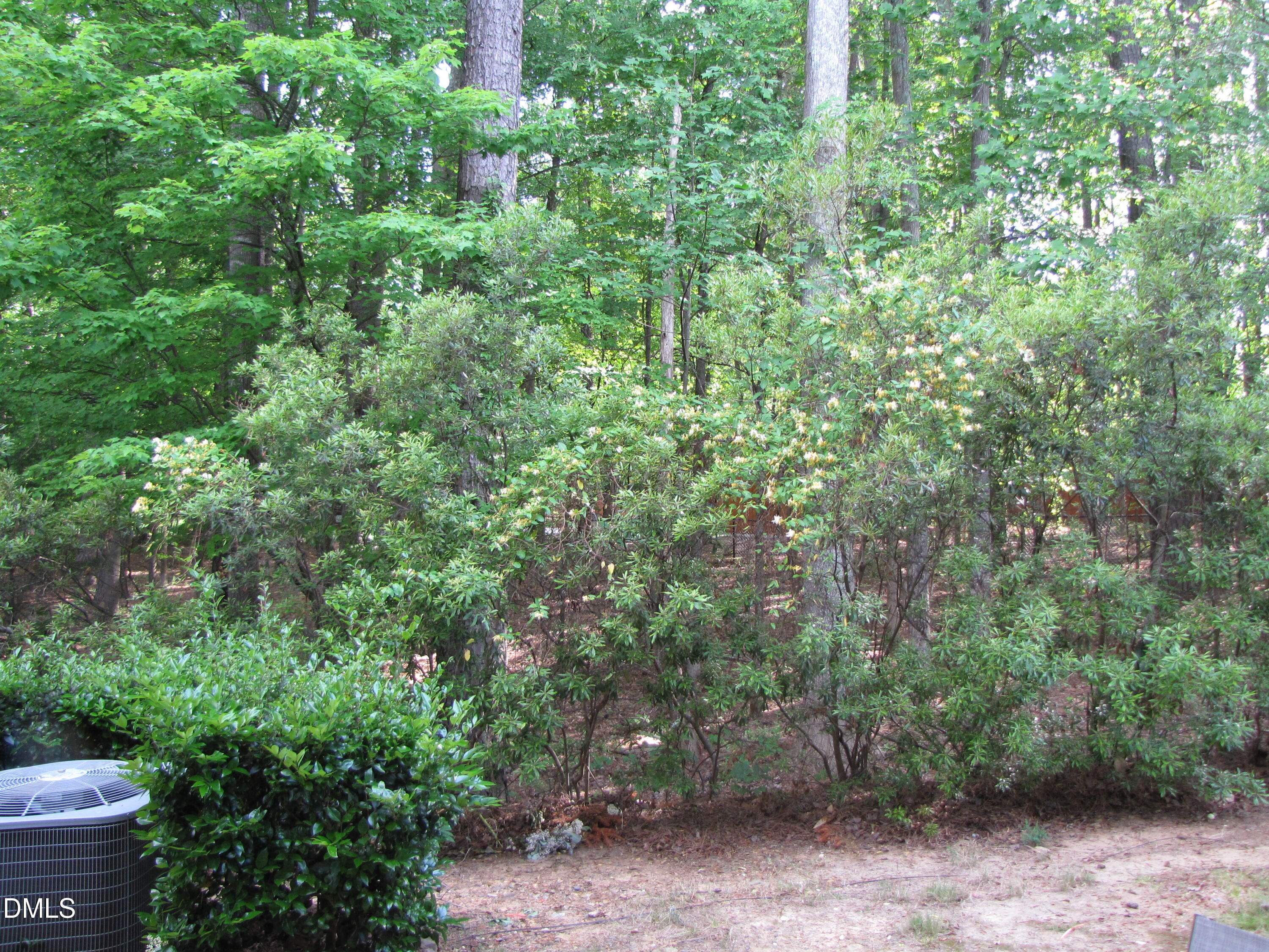 42 Intuition Circle Durham, NC 27705 - Photo 15 of 15 42Intuition-BackYard