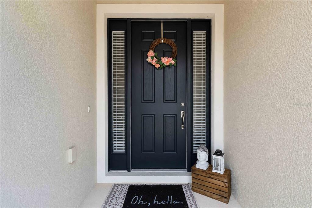 14907 Trinity Fall Way Bradenton, FL 34212 - Photo 4 of 52