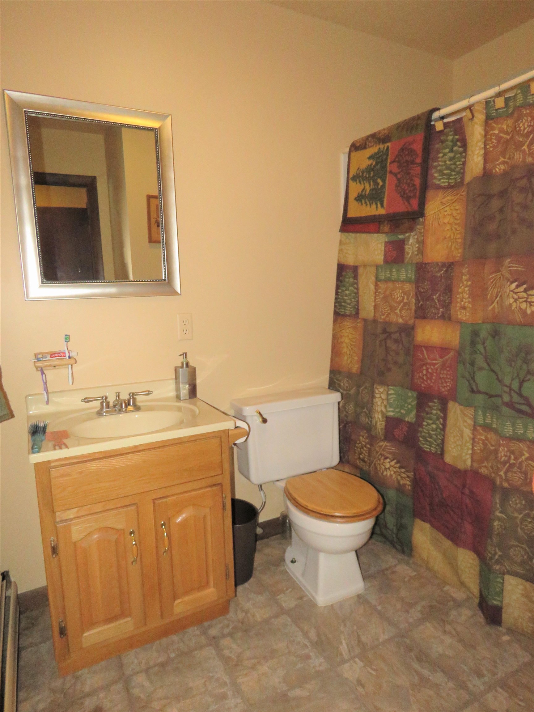 371 Belle Vista Road Troy, VT 05859 - Photo 19 of 40 Gallery Image 19