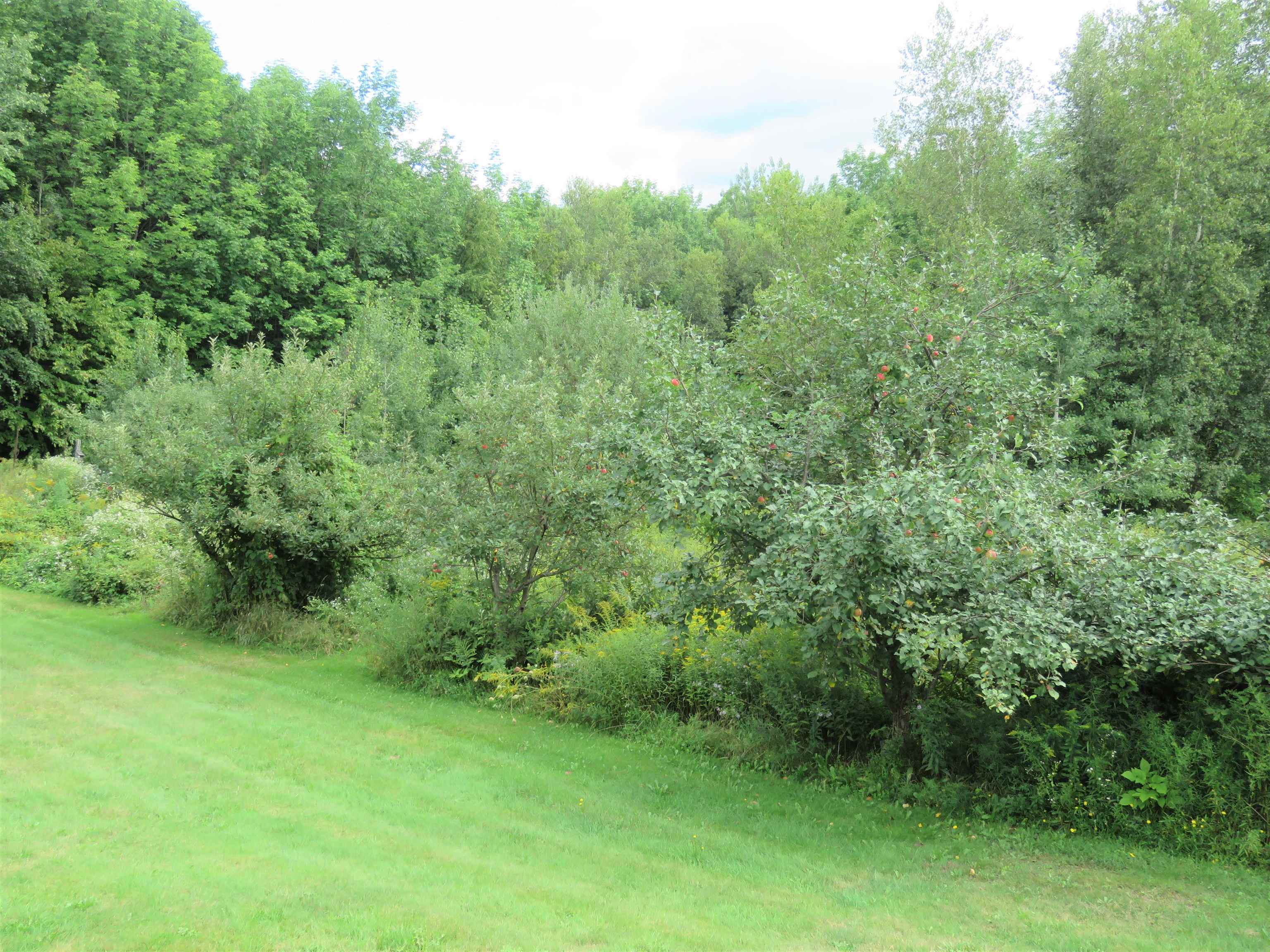 371 Belle Vista Road Troy, VT 05859 - Photo 30 of 40 Gallery Image 30