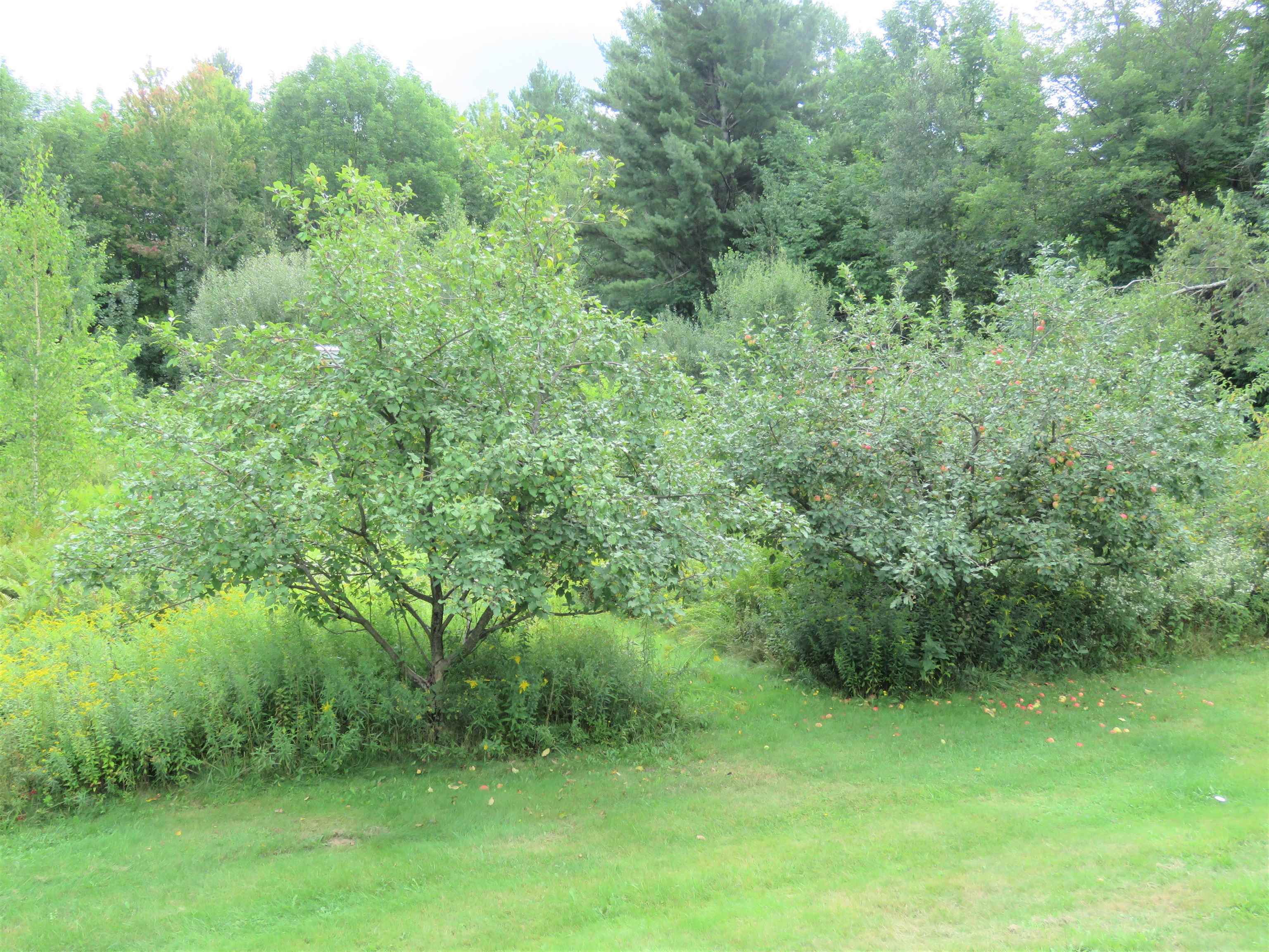 371 Belle Vista Road Troy, VT 05859 - Photo 32 of 40 Gallery Image 32