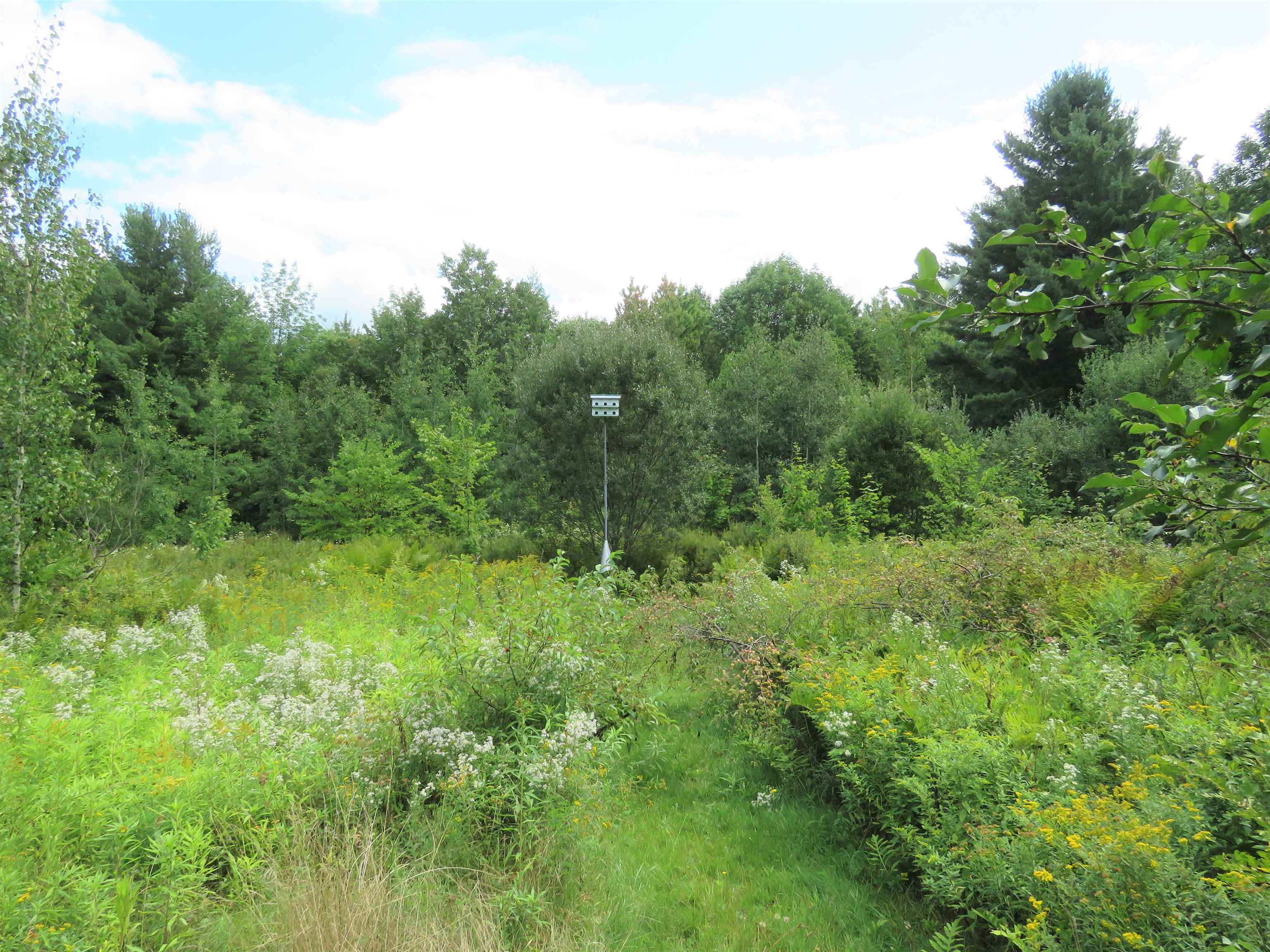 371 Belle Vista Road Troy, VT 05859 - Photo 33 of 40 Gallery Image 33