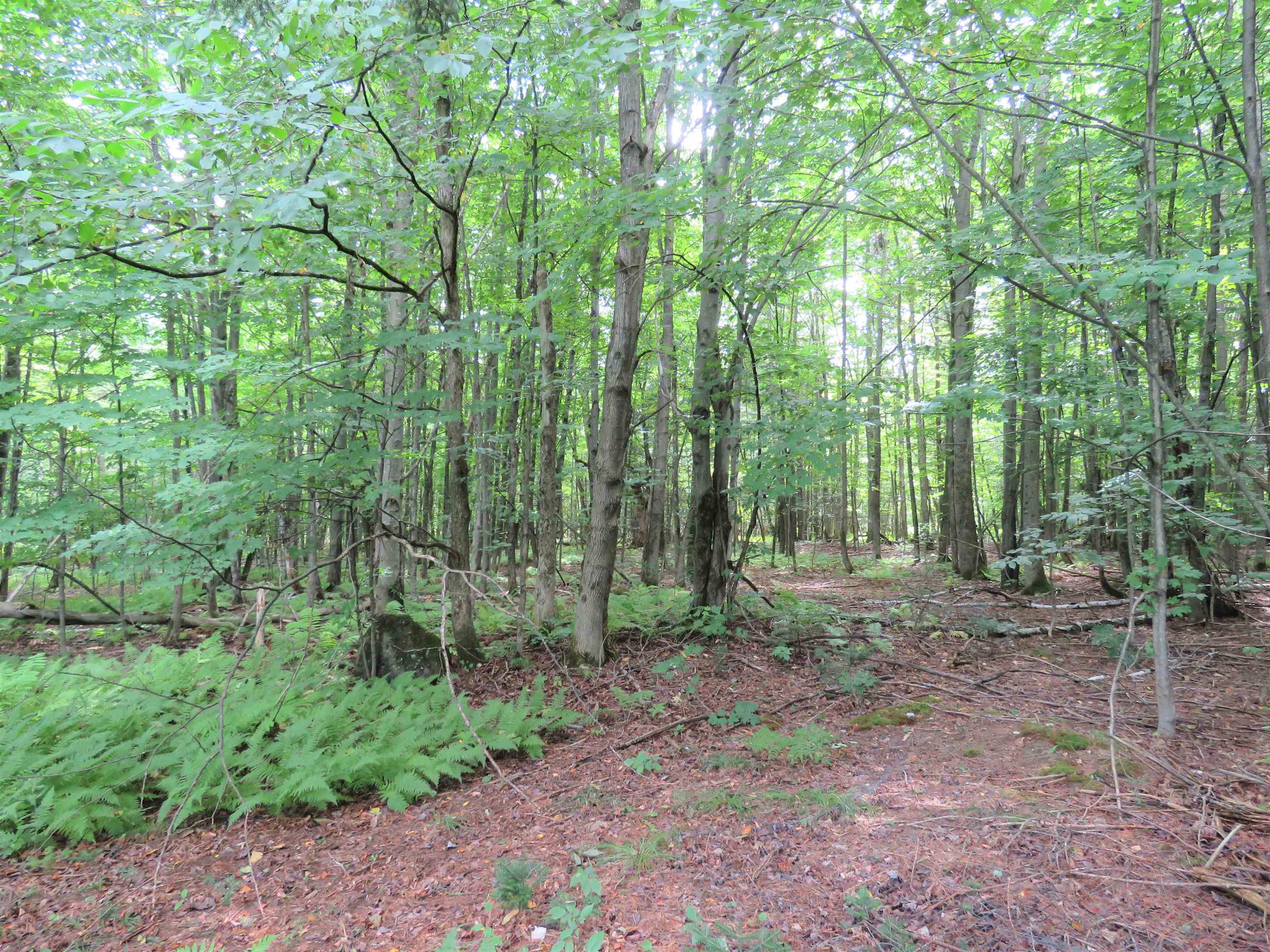 371 Belle Vista Road Troy, VT 05859 - Photo 35 of 40 Gallery Image 35