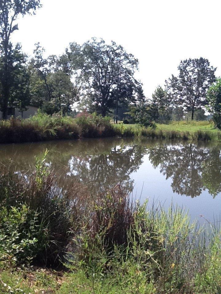 180 Gary Powell Road Eubank, KY 42567 - Photo 10 of 12 Additional Photo