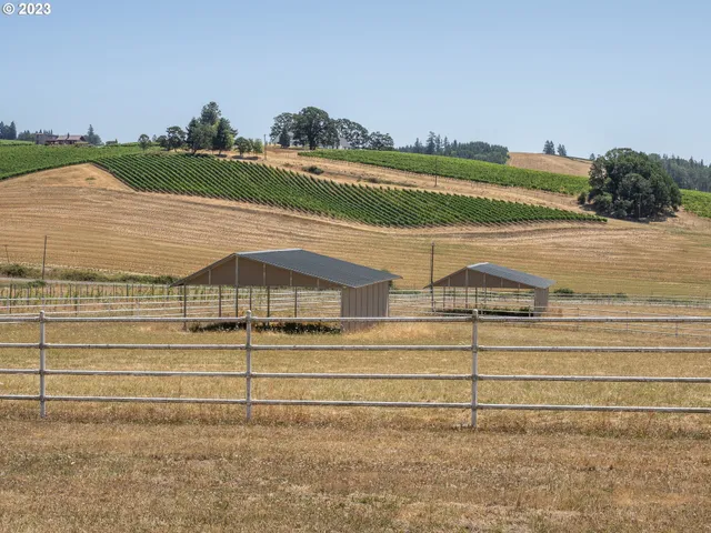 a house with yard and lake view