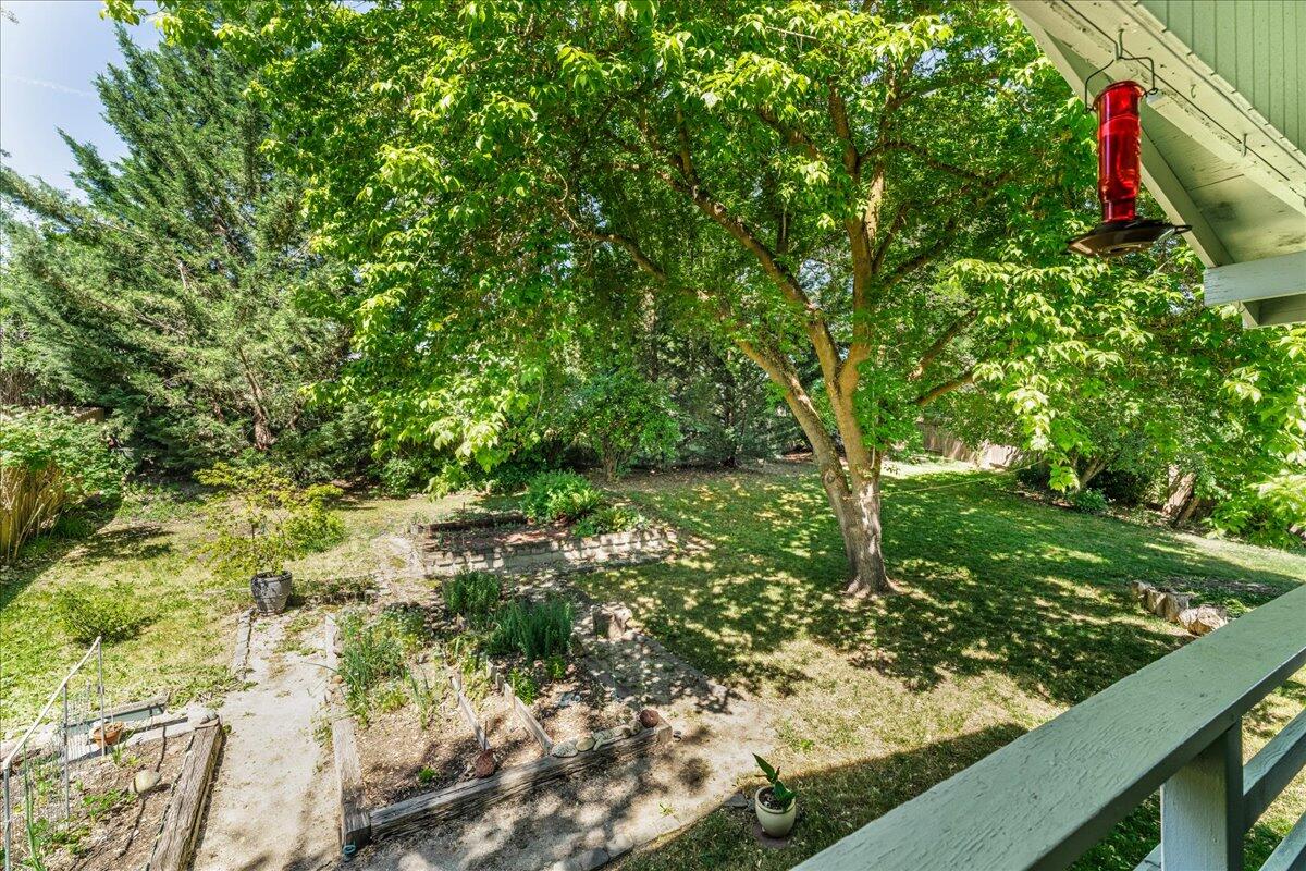 4093 Old Upton Road Central Point, OR 97502 - Photo 3 of 23 a view of a garden with plants