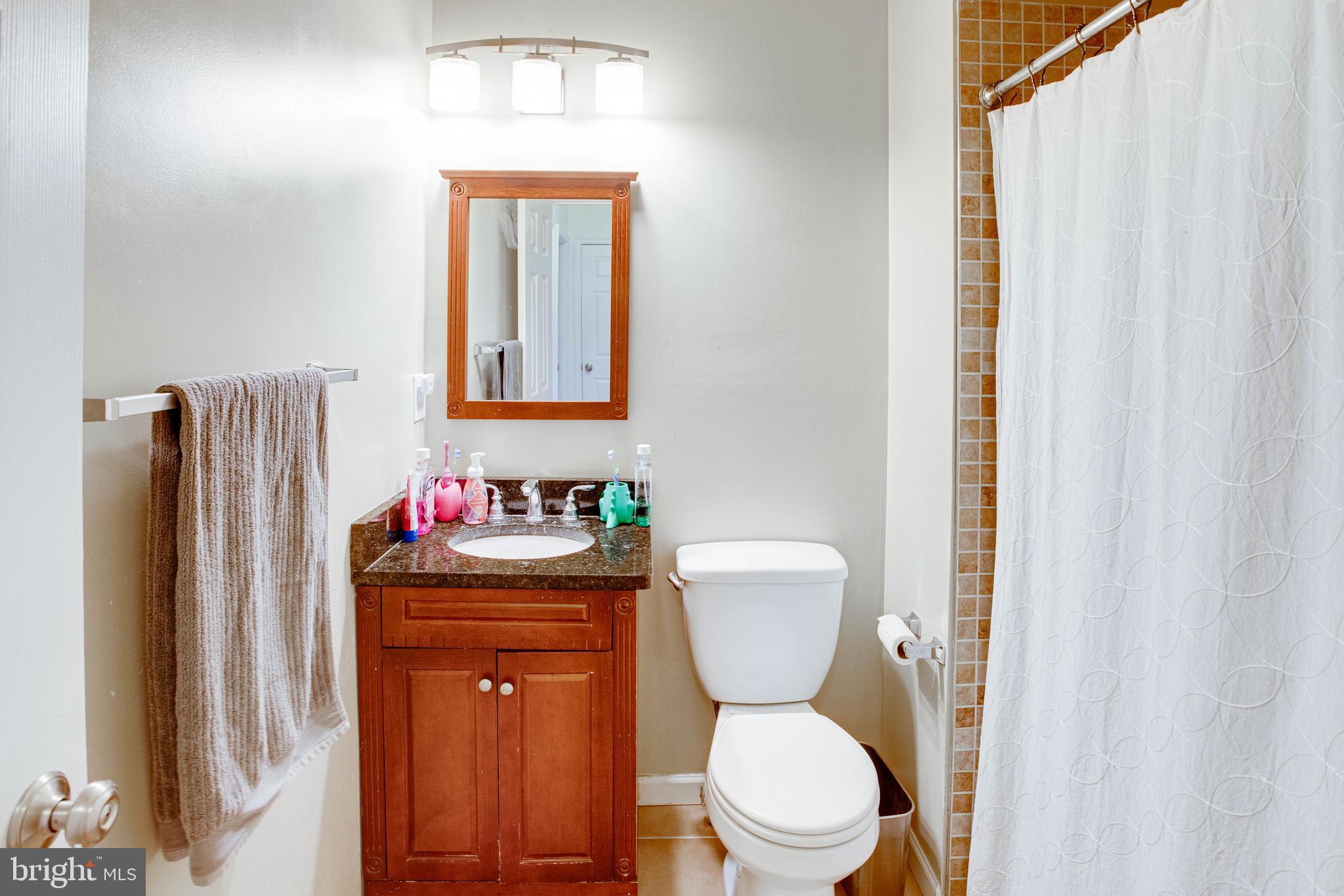 6878 Brian Michael Court Springfield, VA 22153 - Photo 22 of 58