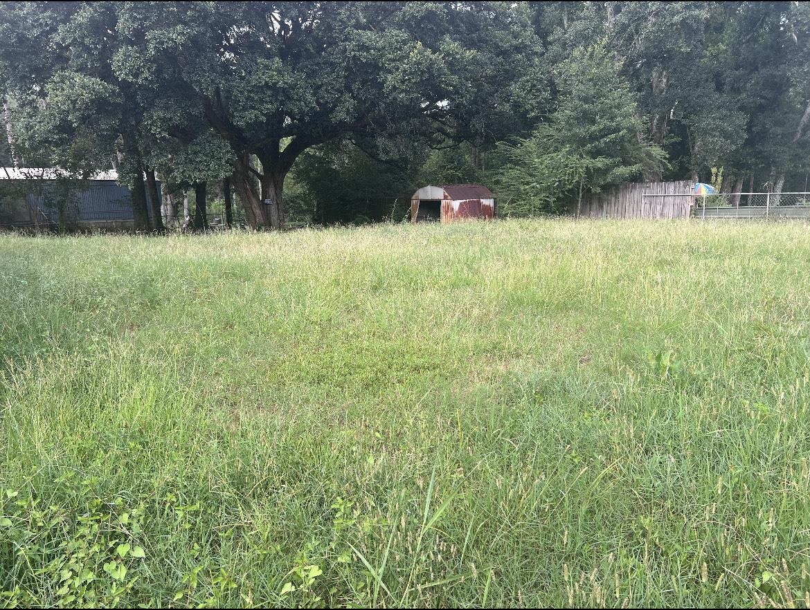 23340 Mildorf Road Robertsdale, AL 36567 - Photo 6 of 10