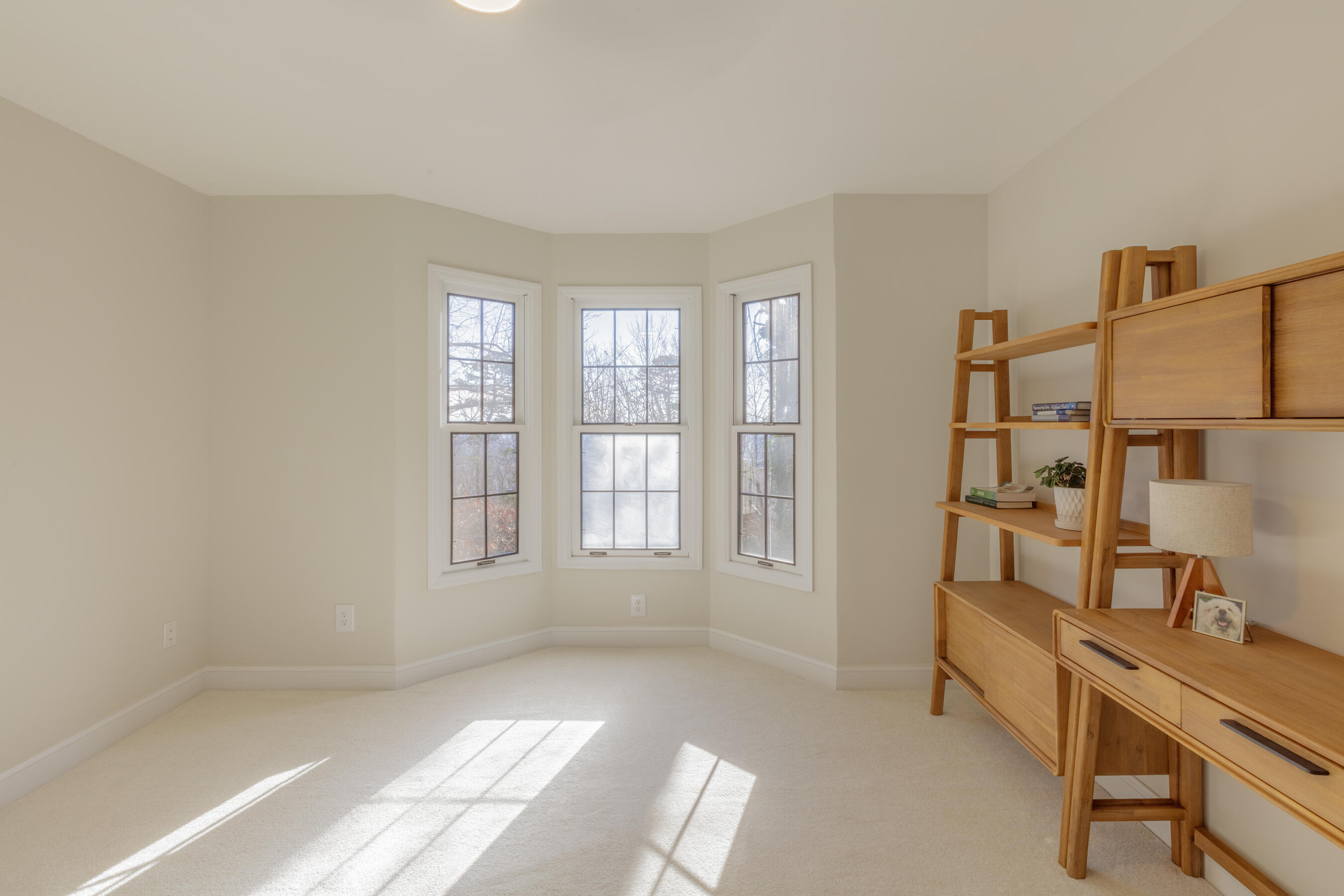 557 Winterview Lane Chattanooga, TN 37409 - Photo 18 of 47 557 Winterview HD-50