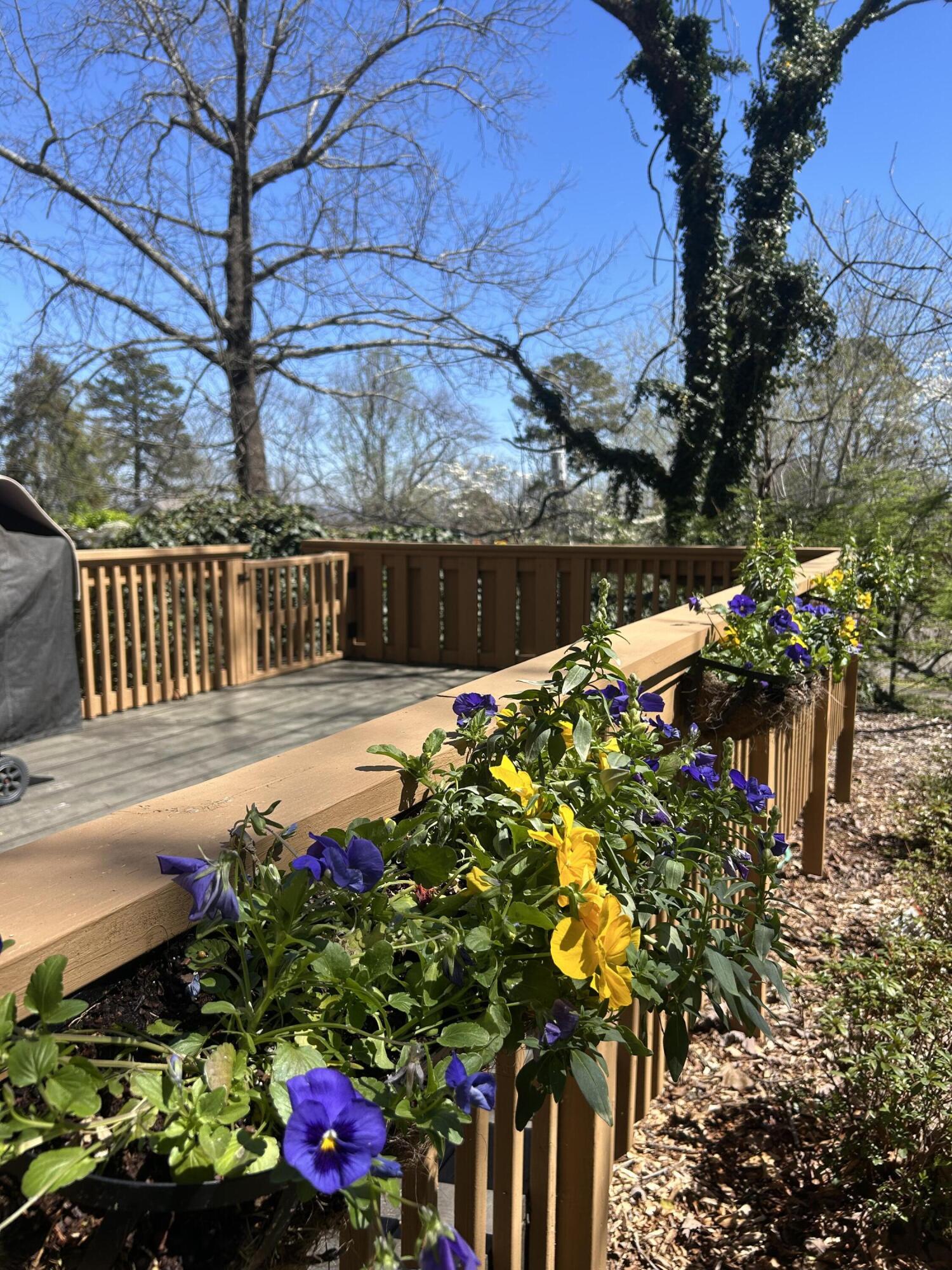 557 Winterview Lane Chattanooga, TN 37409 - Photo 46 of 47 IMG_7817