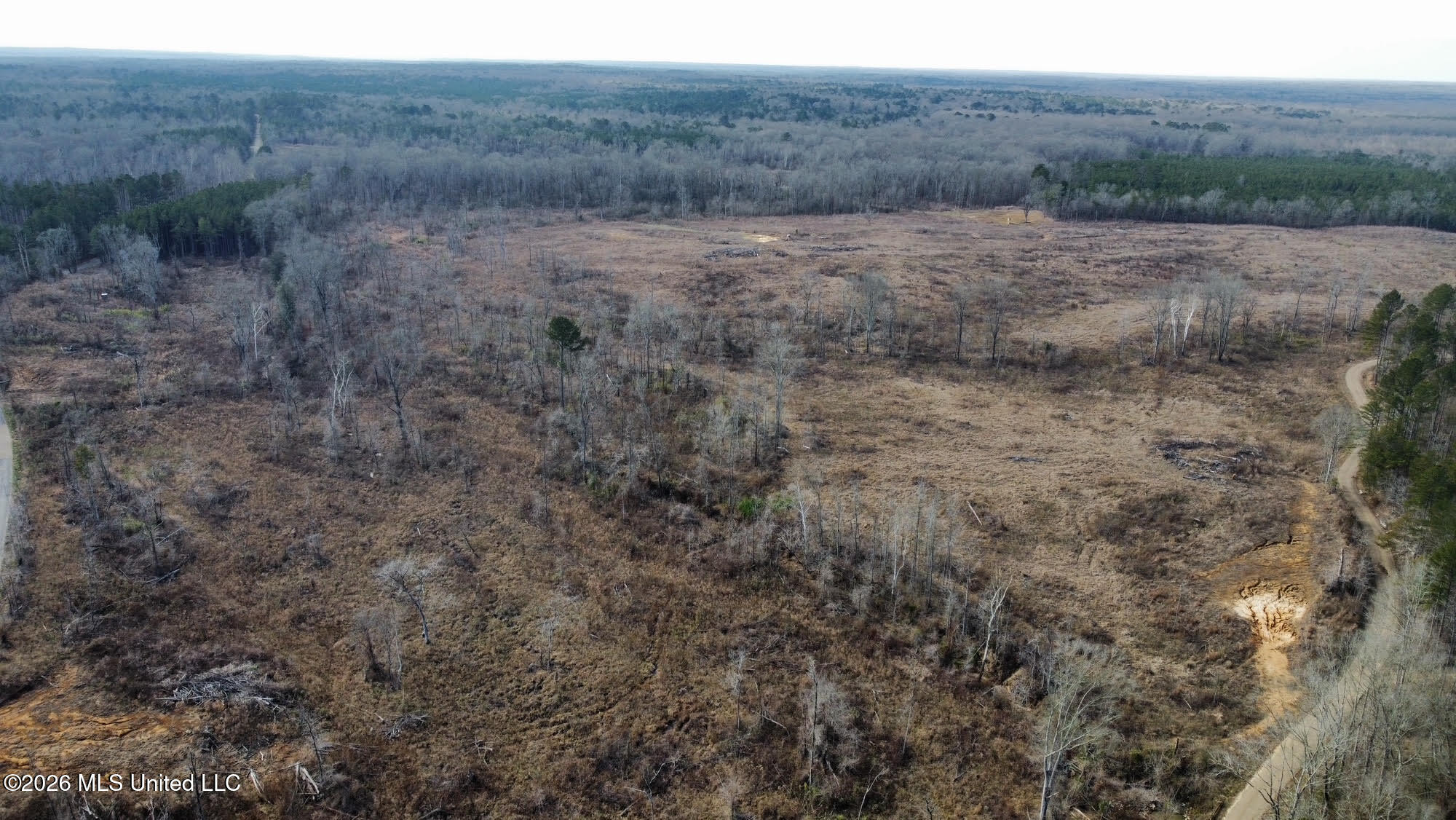 0 Prentiss Crump Road Utica, MS 39175 - Photo 9 of 15 598