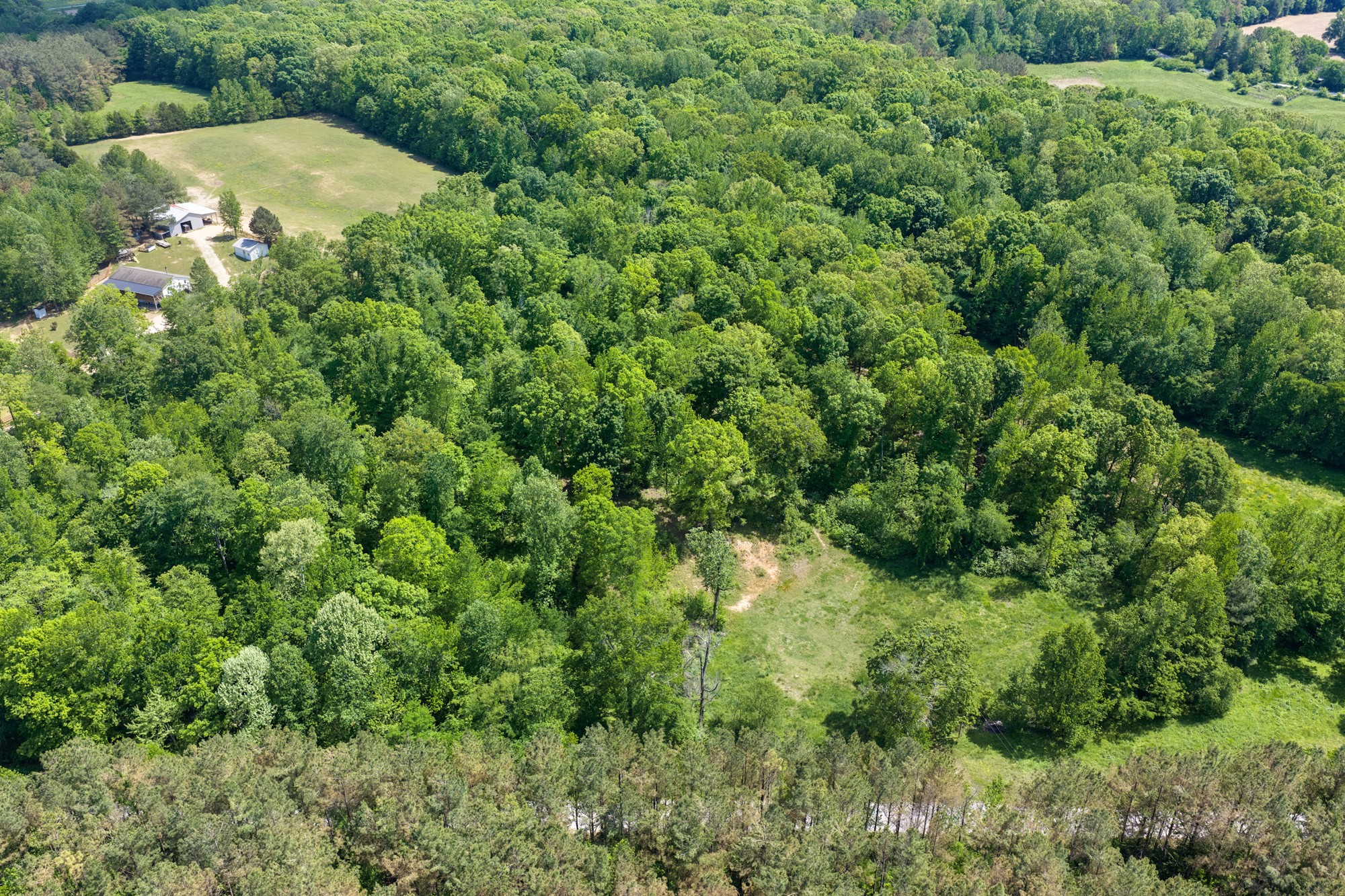 0 Red Williams Road Huntingdon, TN 38344 - Photo 7 of 11