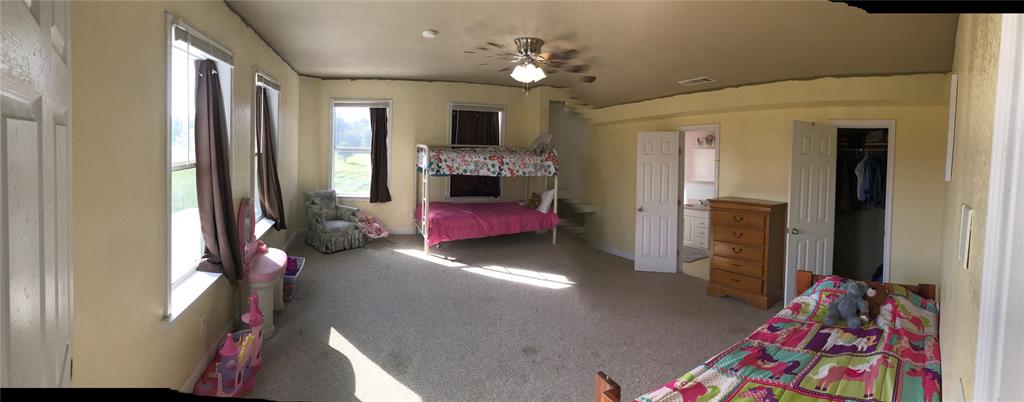 1100 East Rabbit Cove Road Quinlan, TX 75474 - Photo 11 of 18 Bedroom featuring carpet floors, a walk in closet, and ceiling fan