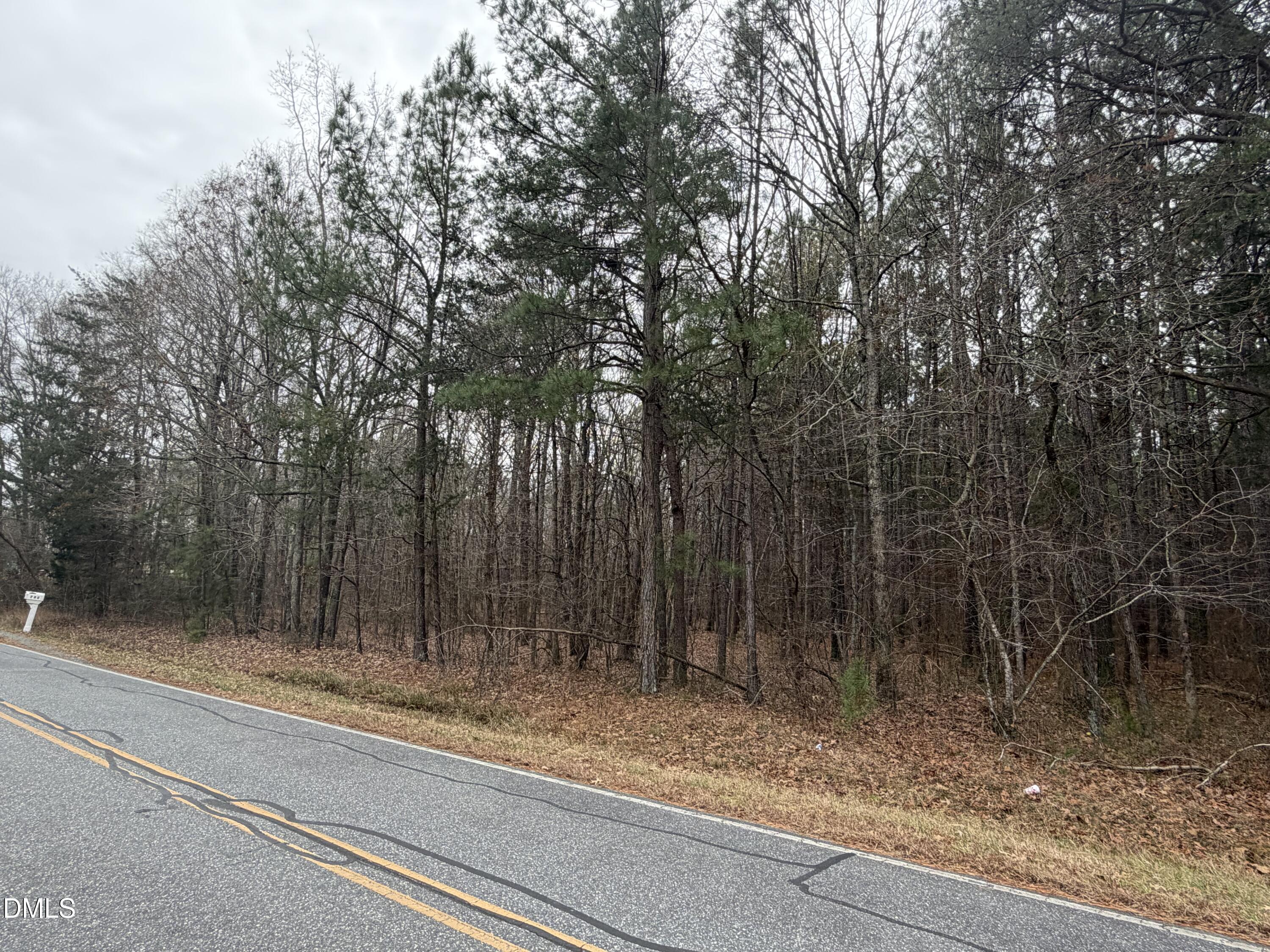 0 Martin Road Siler City, NC 27344 - Photo 3 of 4 a view of backyard with green space