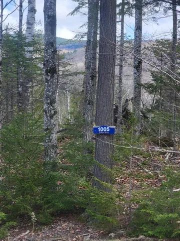 $114,000 | 1007 Apres Way, Kingfield, ME 04947