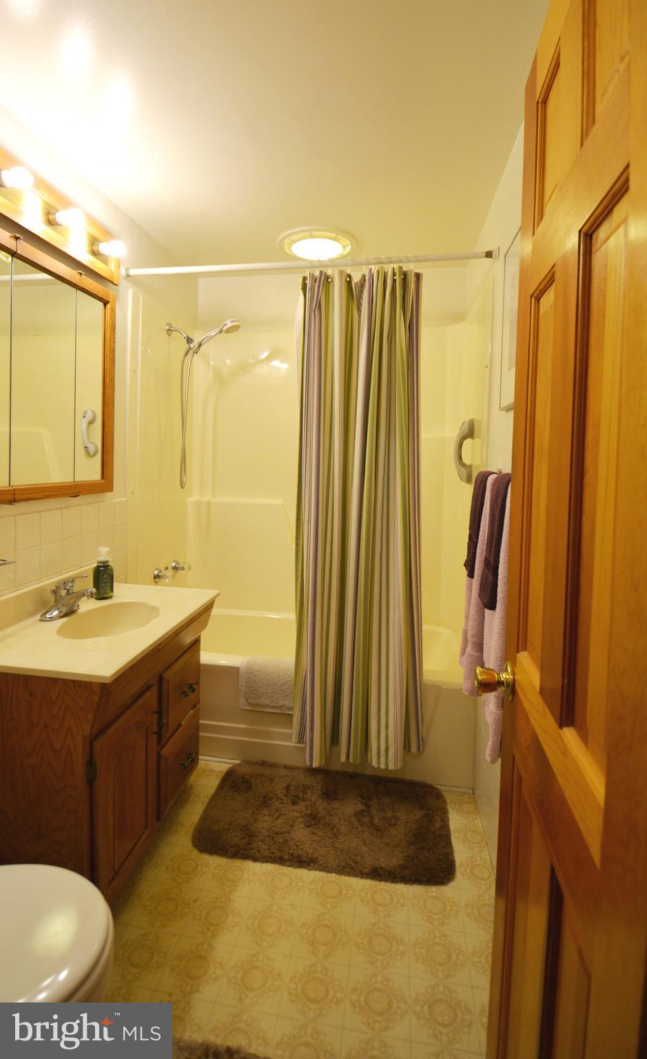 312 Holy Cross Road Baltimore, MD 21225 - Photo 11 of 68 Full tub shower, triple mirror, vanity storage