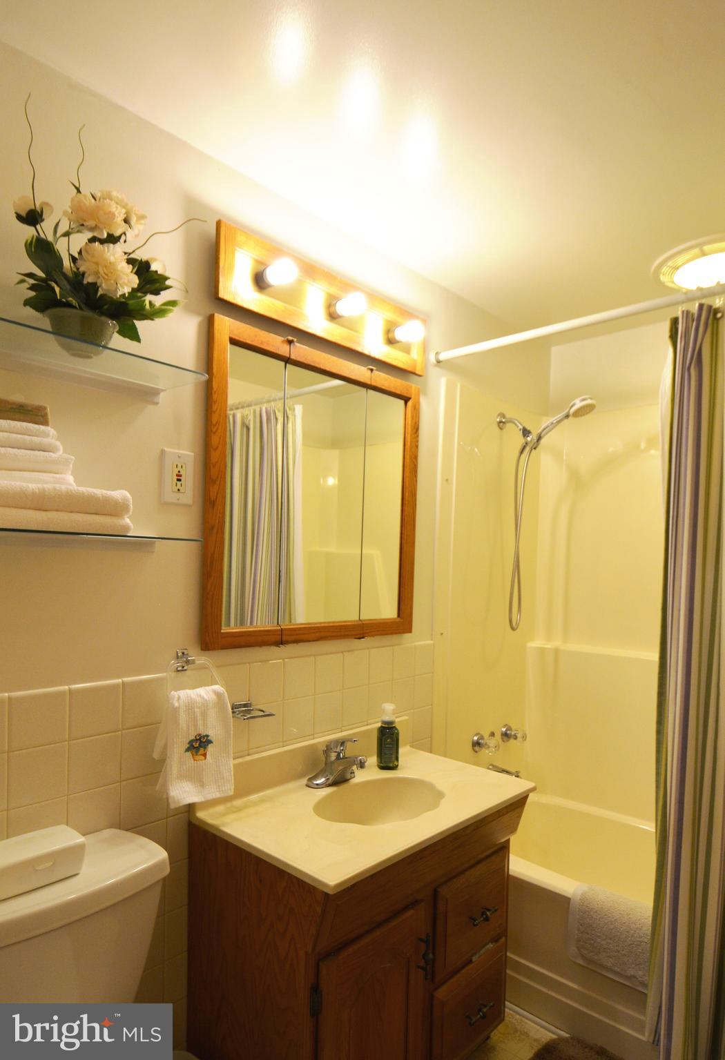 312 Holy Cross Road Baltimore, MD 21225 - Photo 10 of 68 Updated, neutral full bath w/ GFCI outlet