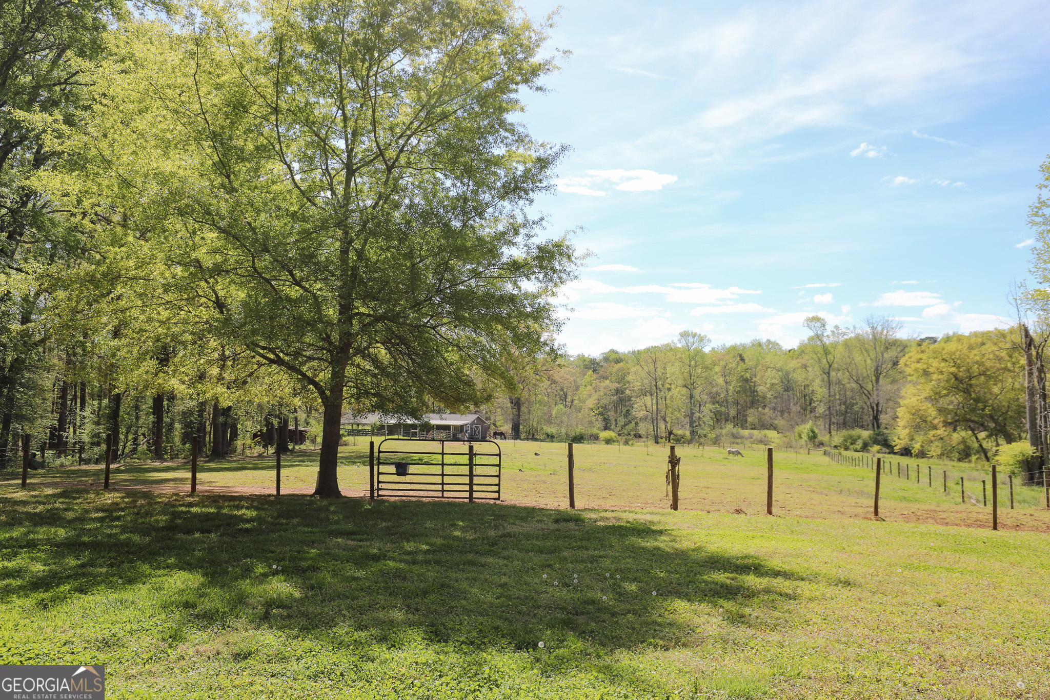 1017 Dr Bruce Jackson Road Newnan, GA 30263 - Photo 41 of 52 a view of grassy field with trees