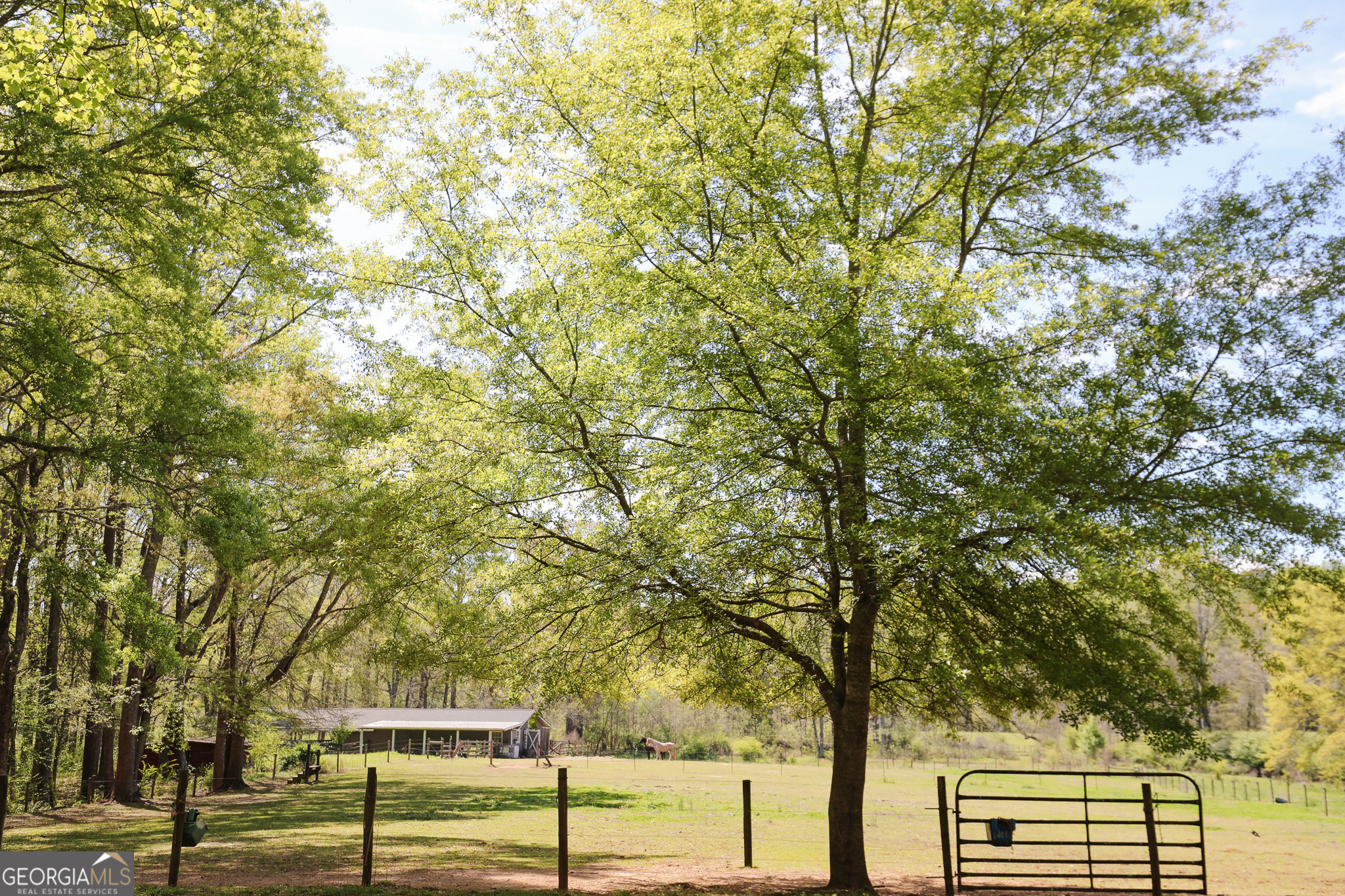 1017 Dr Bruce Jackson Road Newnan, GA 30263 - Photo 42 of 52 a view of a street with of trees