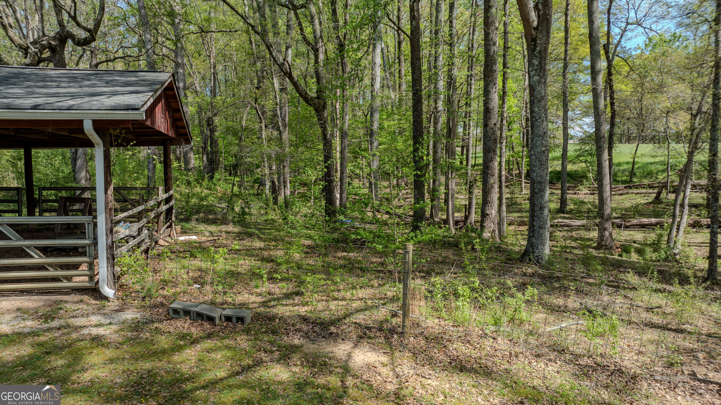 1017 Dr Bruce Jackson Road Newnan, GA 30263 - Photo 46 of 52 a view of outdoor space and garden