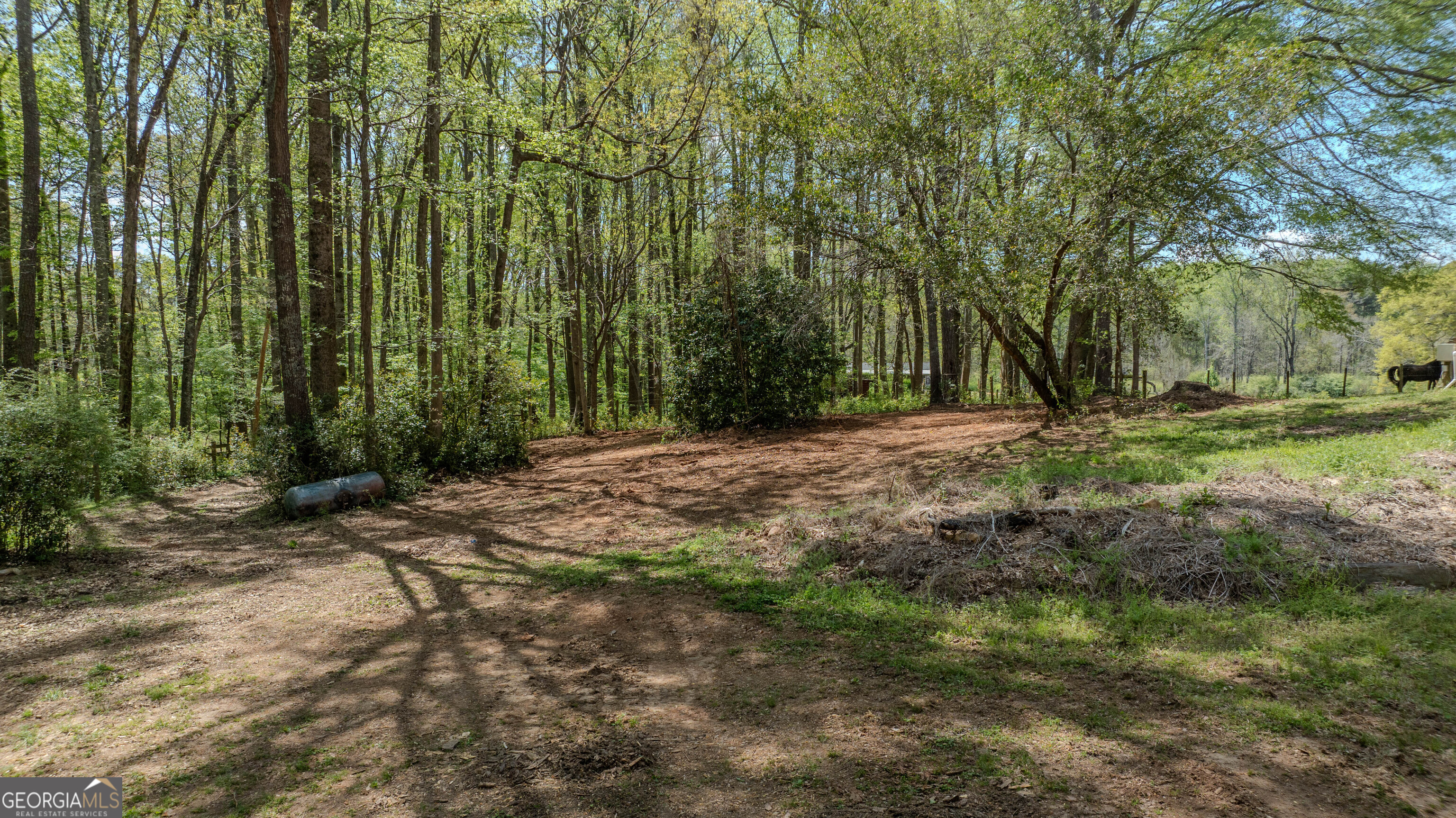 1017 Dr Bruce Jackson Road Newnan, GA 30263 - Photo 48 of 52 a view of a yard with large trees