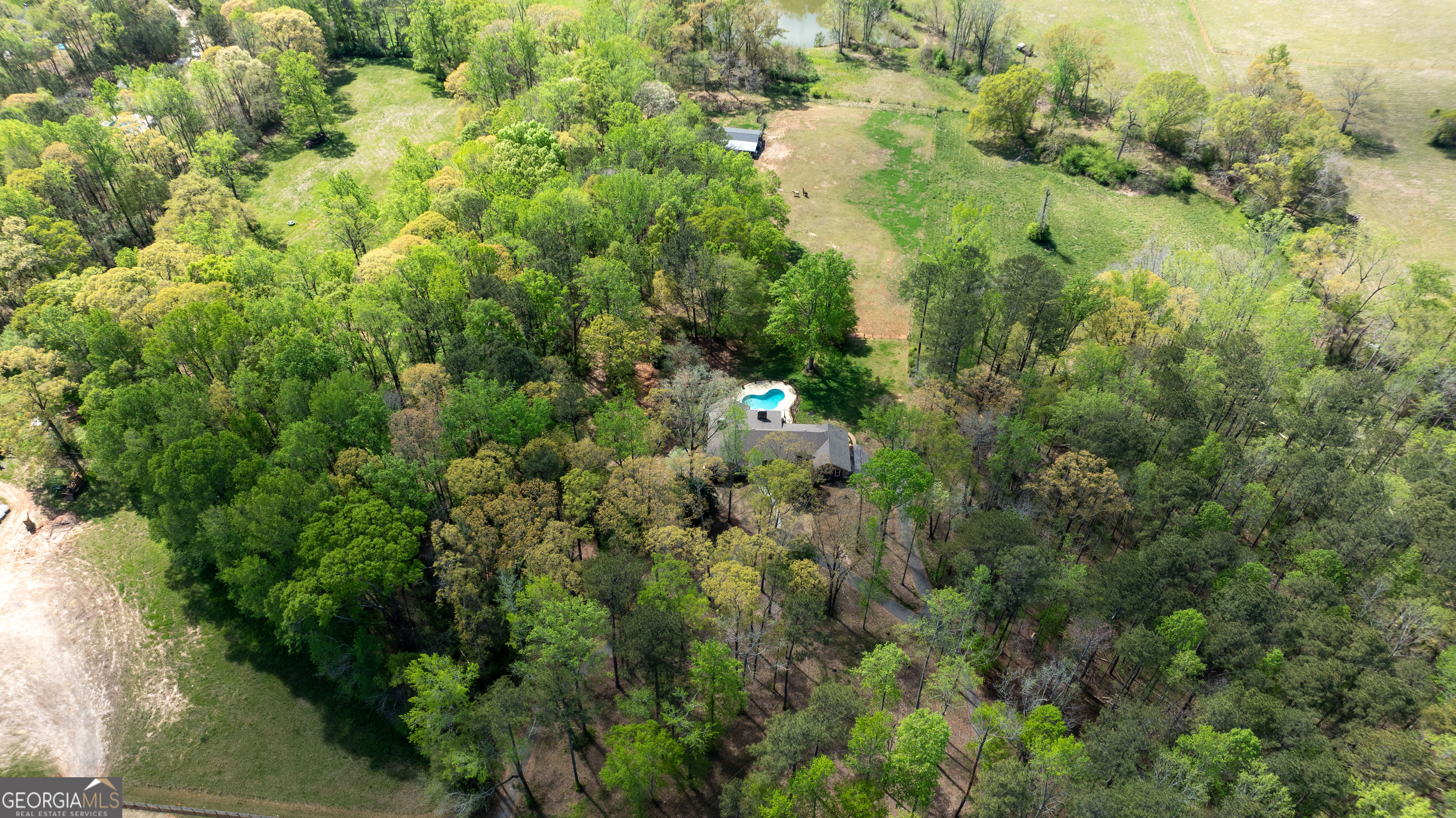 1017 Dr Bruce Jackson Road Newnan, GA 30263 - Photo 51 of 52 a view of a forest with a tree