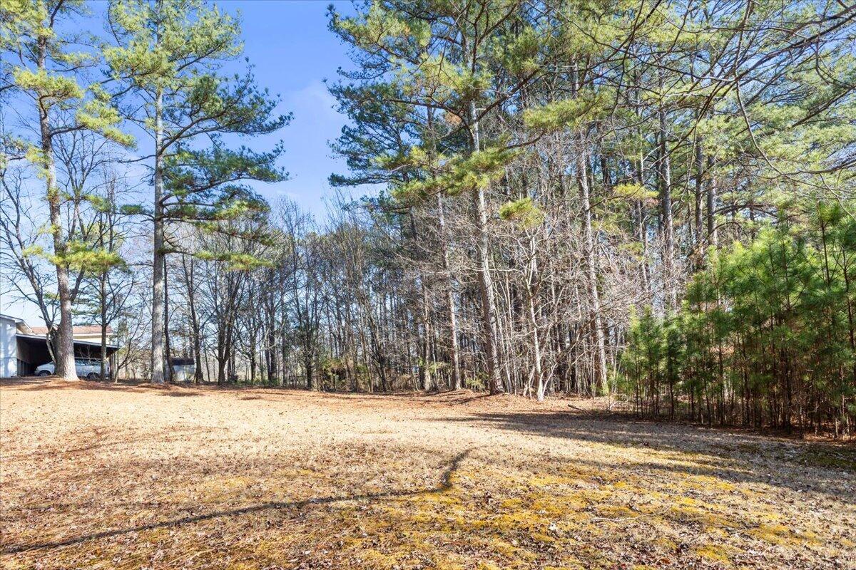 319 Cannon Road LaFayette, GA 30728 - Photo 8 of 17 20260106200746762565000000-o