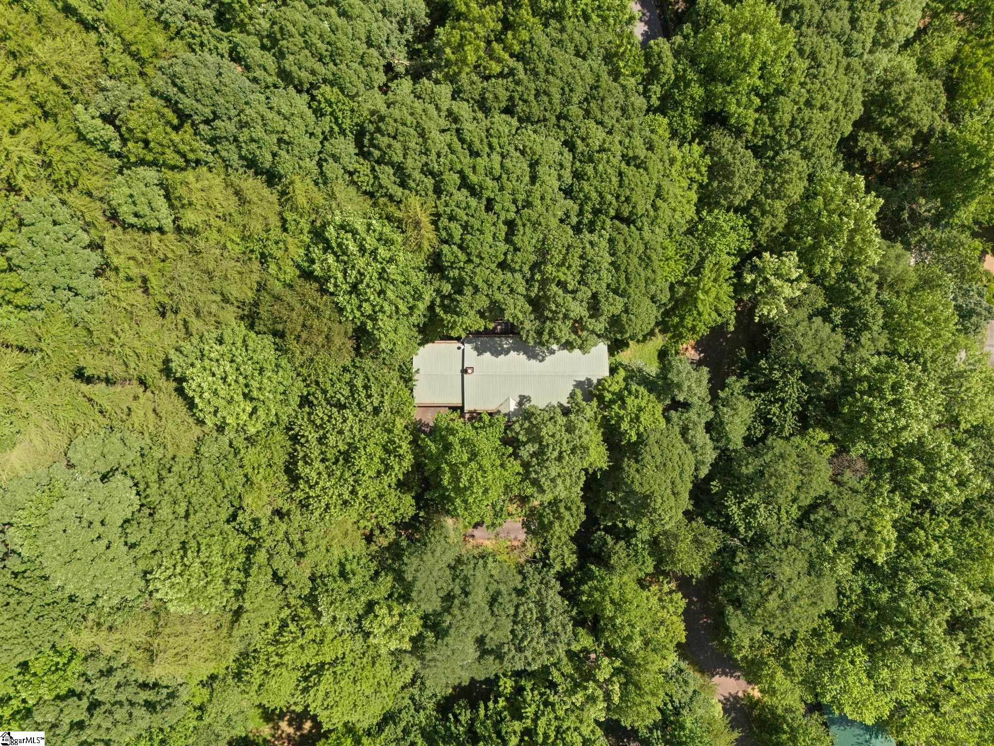 56 Cardinal Circle Tryon, NC 28782 - Photo 31 of 33