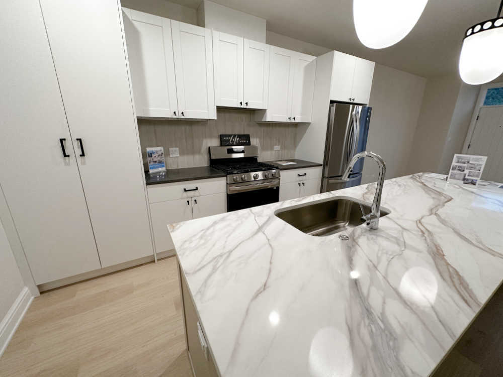 4315 South Indiana Avenue, Unit 2 Chicago, IL 60653 - Photo 5 of 16 a kitchen with stainless steel appliances a refrigerator sink and cabinets