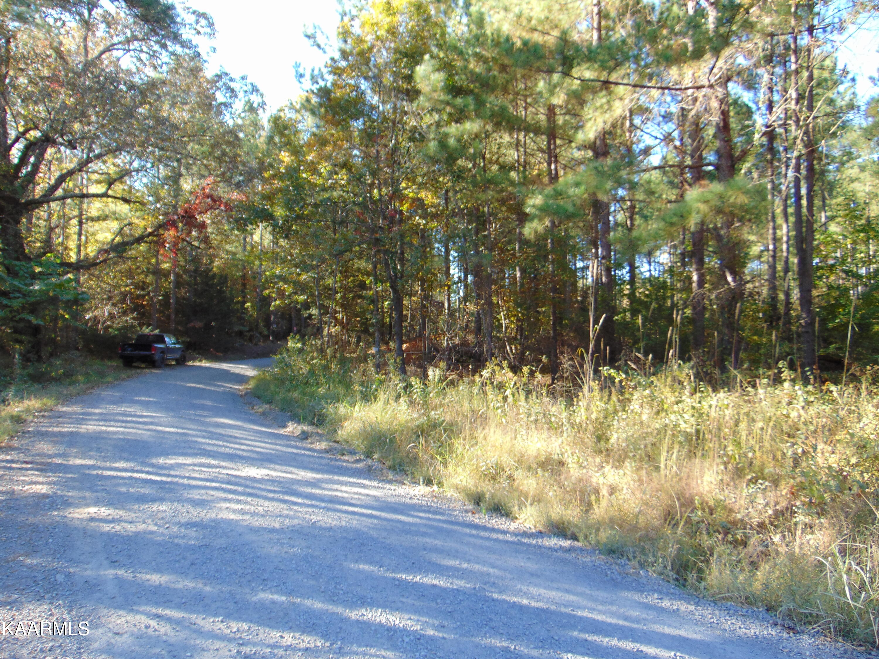 Tract 2-e-2 Tract 2-e-2 Charles Road Decatur, TN 37322 - Photo 8 of 9 DSC01673