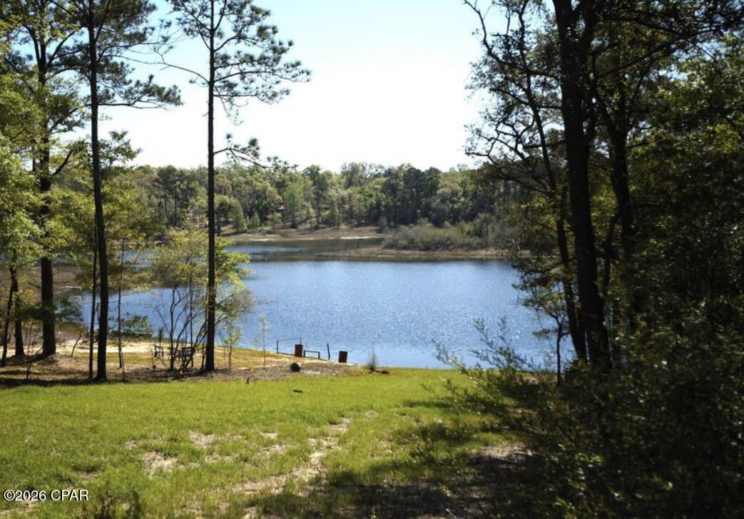 3779 Payne Lake Road Chipley, FL 32428 - Photo 5 of 11