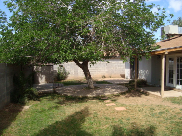 7219 West Merrell Street Phoenix, AZ 85033 - Photo 9 of 9 Back yard