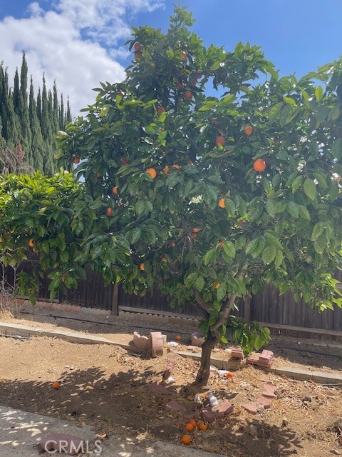 19284 Krameria Avenue Riverside, CA 92508 - Photo 10 of 13 Fruit tree
