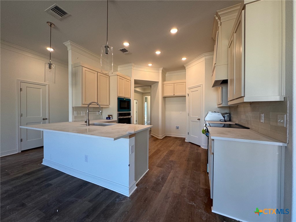 10712 Campsite Cove Temple, TX 76502 - Photo 6 of 11 a large kitchen with stainless steel appliances a large counter top a stove a sink dishwasher and a refrigerator with wooden floor