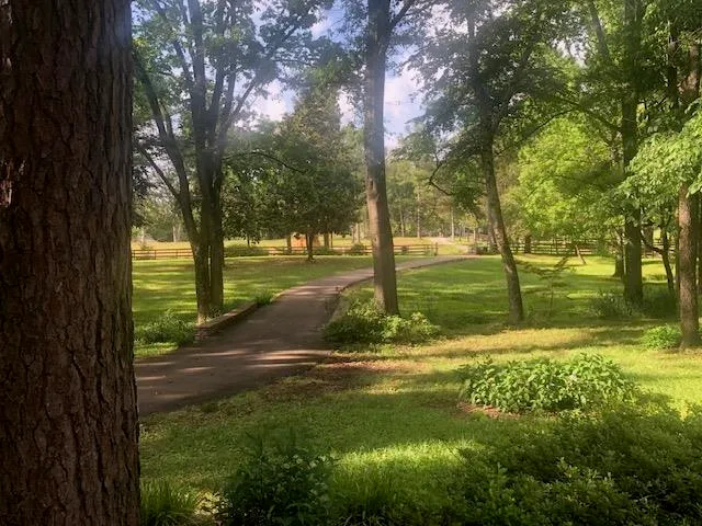 a picture of a glass window