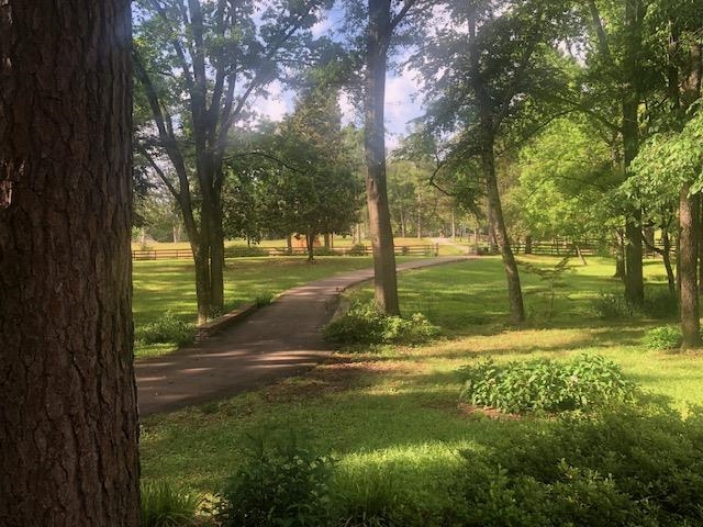 12211 Monterey Road Collierville, TN 38017 - Photo 1 of 4 a view of a yard with plants