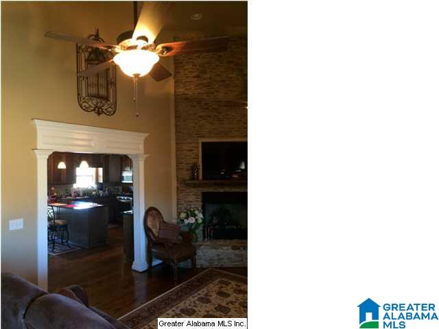 3703 Co Highway 24 Springville, AL 35146 - Photo 5 of 28