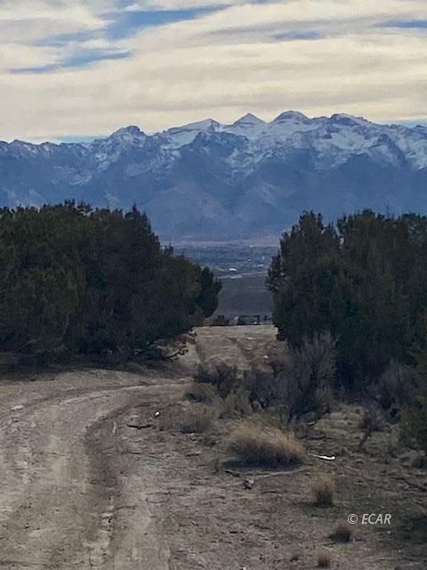 Karval Drive Dr Spring Creek Spring Creek, NV 89815 - Photo 3 of 9