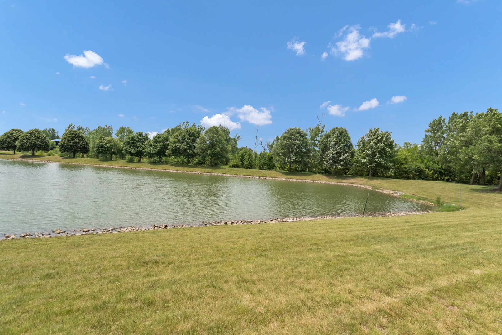 4 Claridge Court Bolingbrook, IL 60440 - Photo 7 of 47