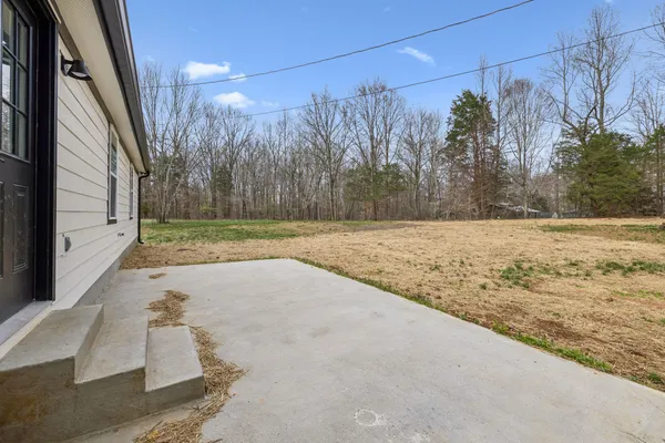 a view of a yard with trees